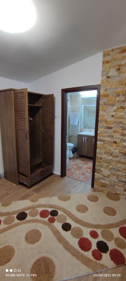 Villa View Cozia Călimăneşti Exterior foto