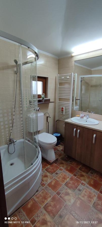Villa View Cozia Călimăneşti Exterior foto