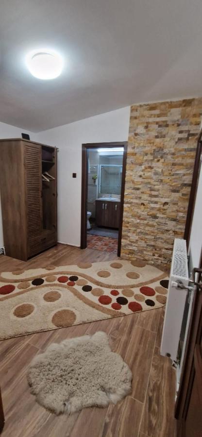 Villa View Cozia Călimăneşti Exterior foto